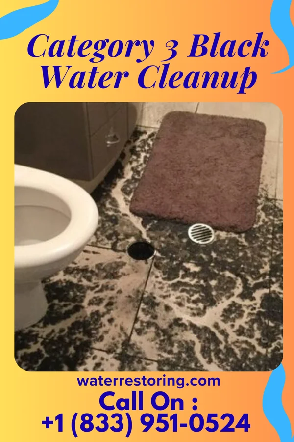 Category 3 Black Water Cleanup in Le Raysville, PA