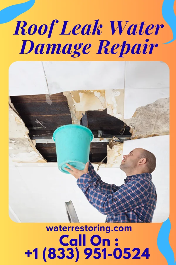 Roof Leak Water Damage Repair in Le Raysville, PA
