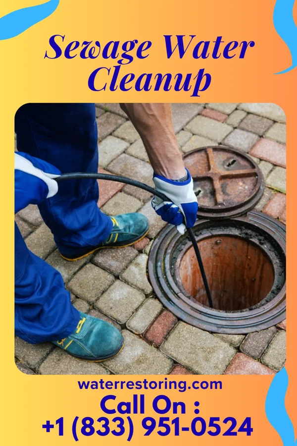 Sewage Water Cleanup in Le Raysville, PA