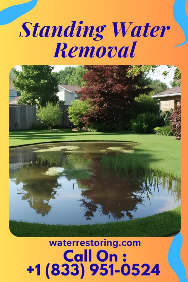 Standing Water Removal in Le Raysville, PA